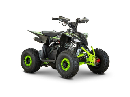 ATV MiniRaptor 110ccm3 pornire Buton, Marsalier, Negru/Verde [6]