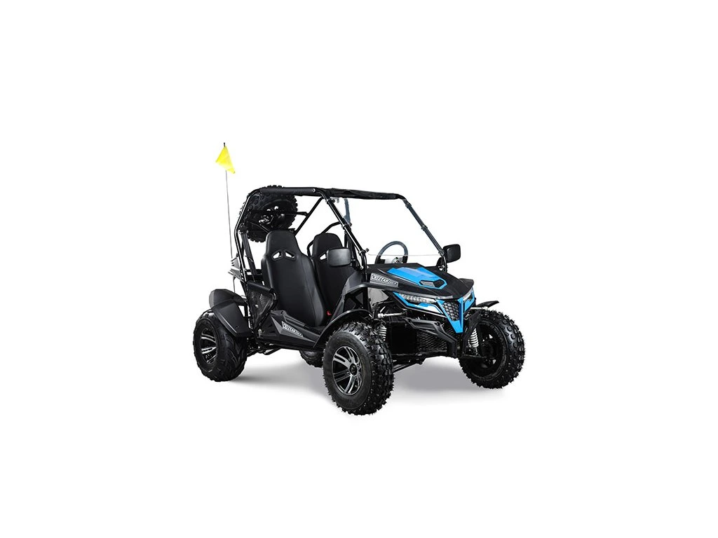 Buggy MiniRocket Cheetah 200X benzina 4T pornire la buton, marsalier 220cm3 - Copie [8]