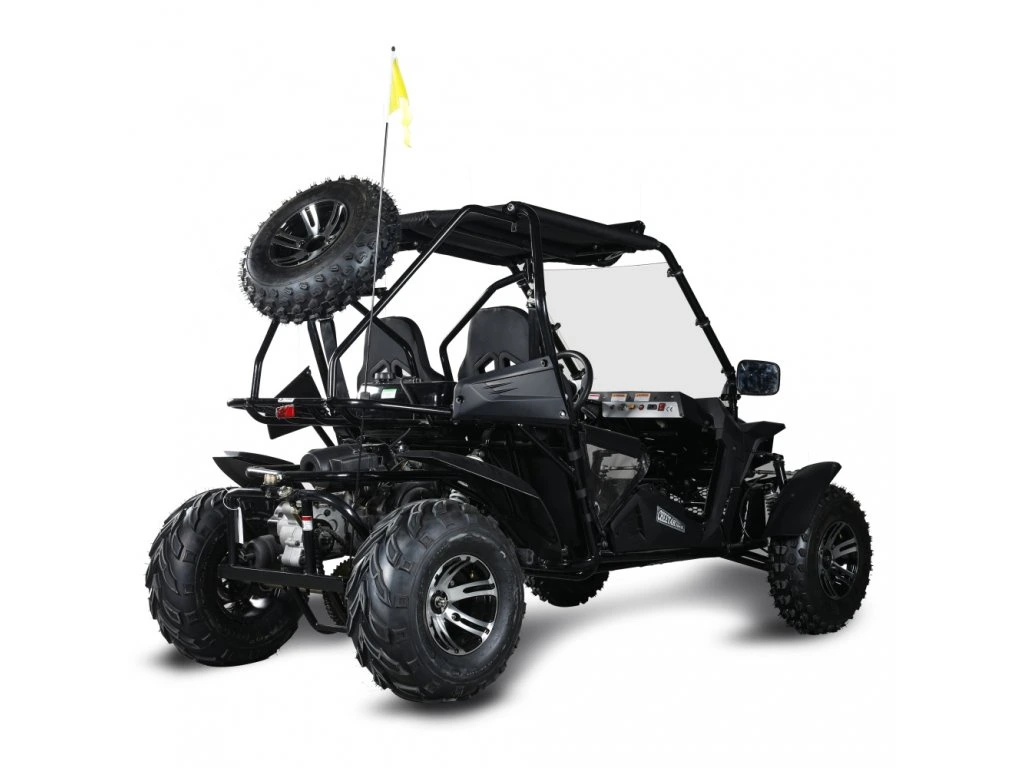 Buggy MiniRocket Cheetah 200X benzina 4T pornire la buton, marsalier 220cm3 - Copie [4]