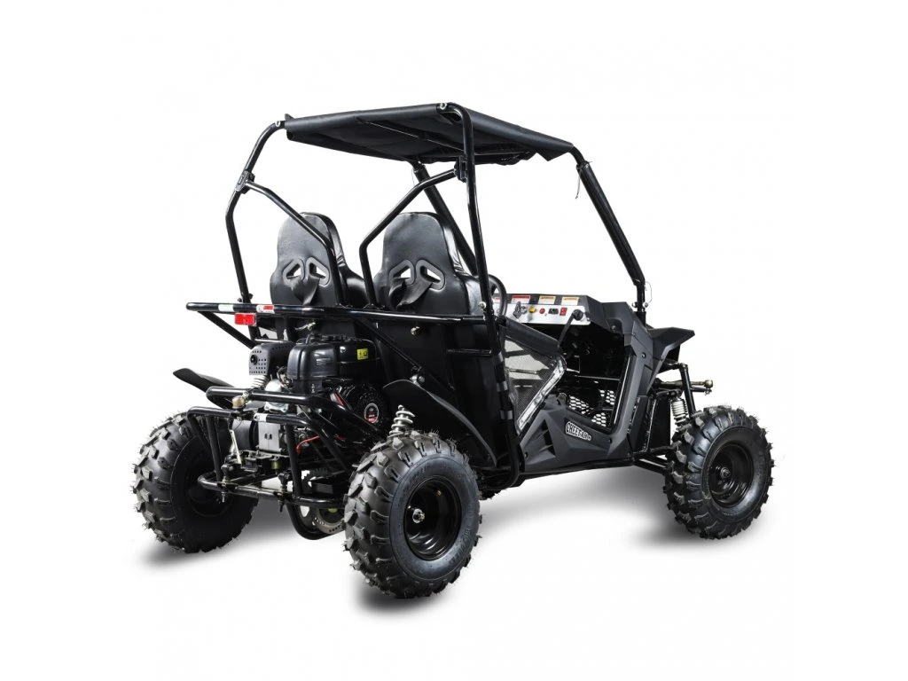 Buggy MiniRocket Cheetah4Kids benzina 4T pornire la buton, marsalier 220cm3 [1]