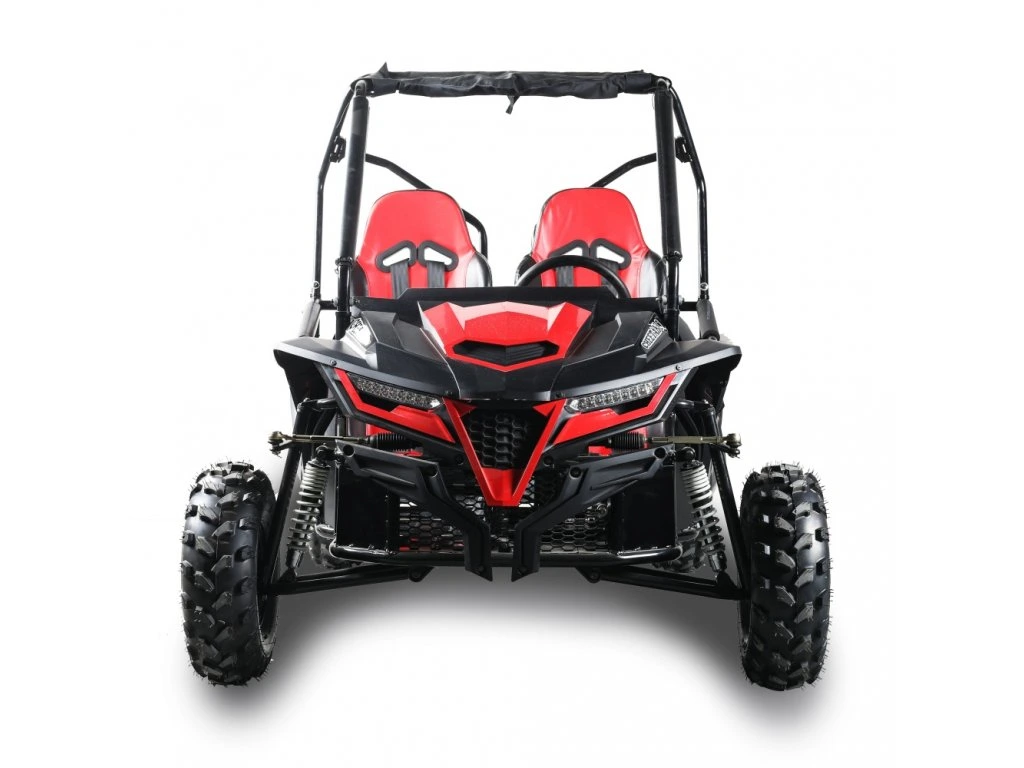 Buggy MiniRocket Cheetah4Kids benzina 4T pornire la buton, marsalier 220cm3 [3]