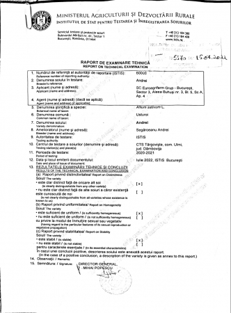 usturoi Andrei [6]