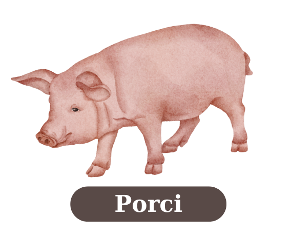 Porci