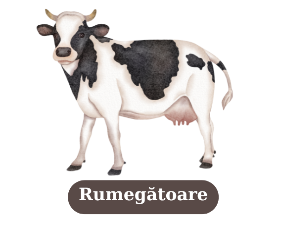 Rumegatoare