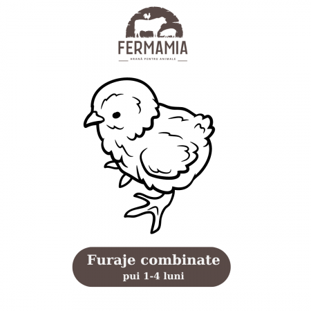 Pui - Furaje combinate 45-120 zile pui