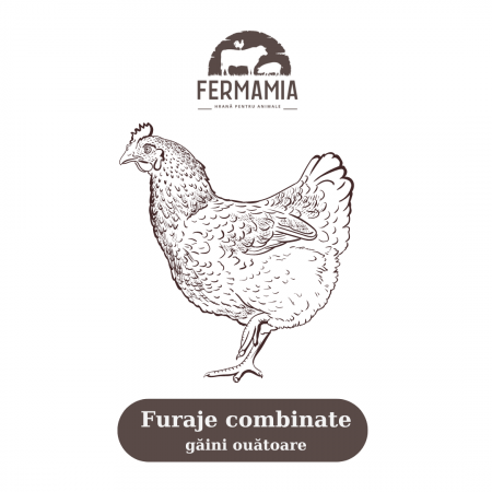 Găini - Furaje combinate pentru găini ouătoare