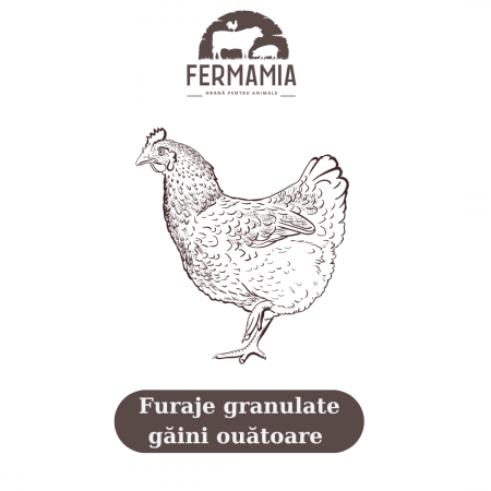 Găini - Furaje granulate găini ouătoare