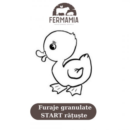 Găini - Furaje granulate START rațuște