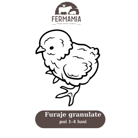 Pui - Furaje granulate 45-120 zile 20kg