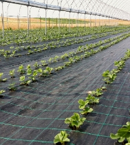 Agrotextil