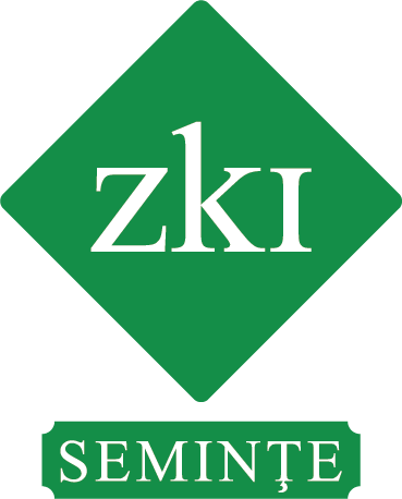 ZKI
