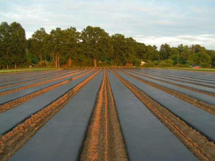 Folie mulcire gri ( fime ) 1.2m x 2400m [2]