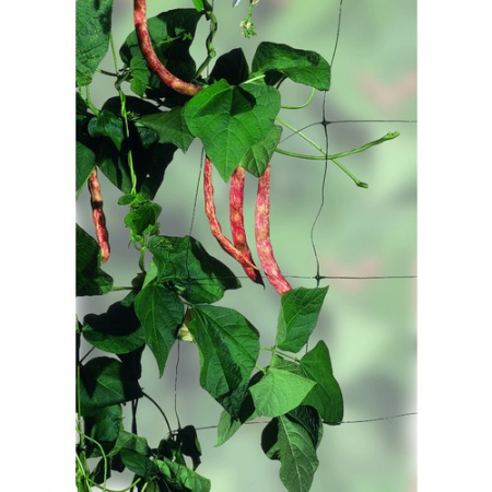 Plasa suport - Plasa suport plante 1.5m x 5m