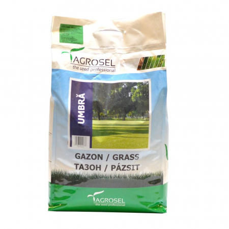 Seminte gazon - Seminte gazon umbra 5kg