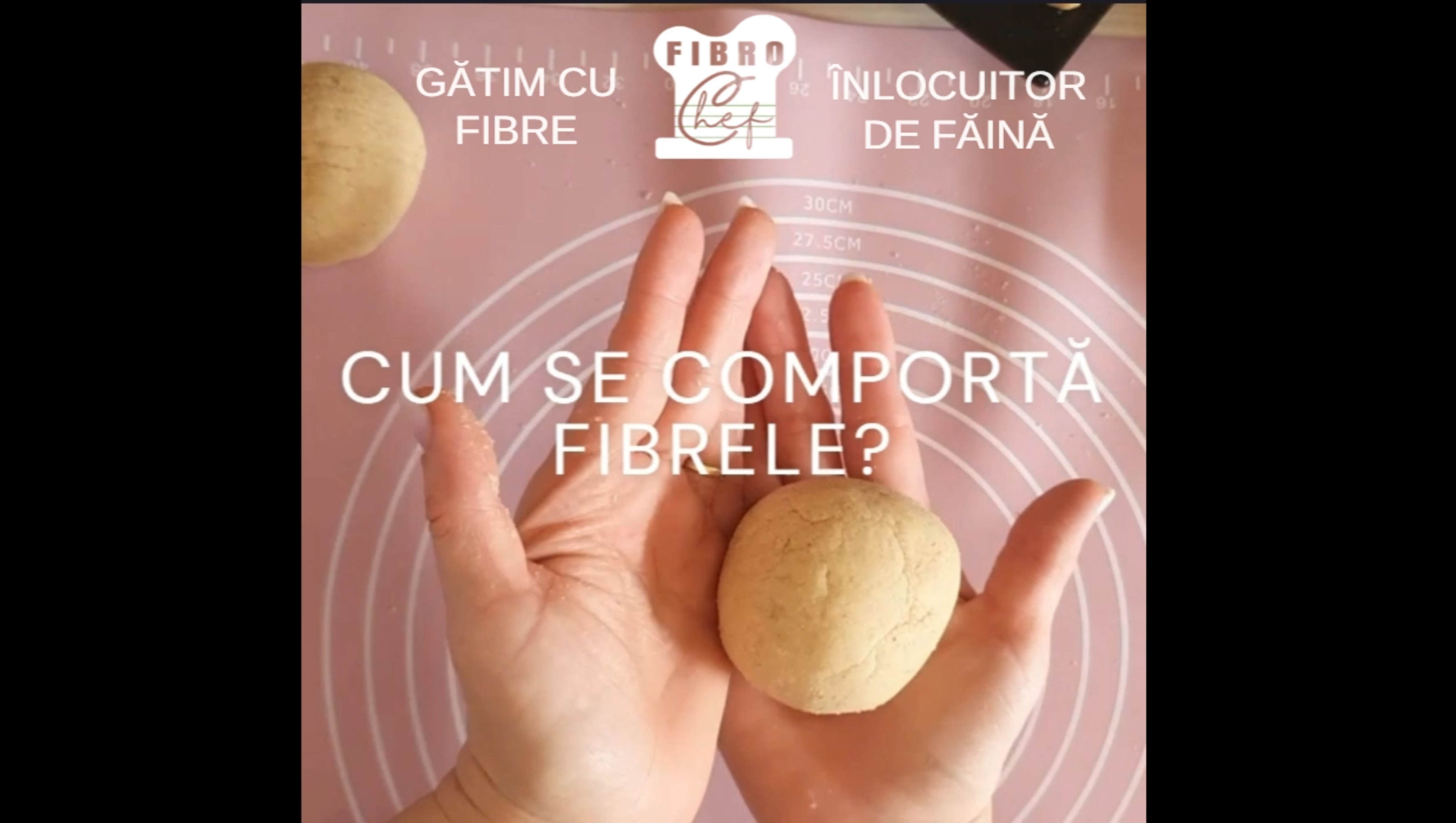 Fibrele Fibrochef
