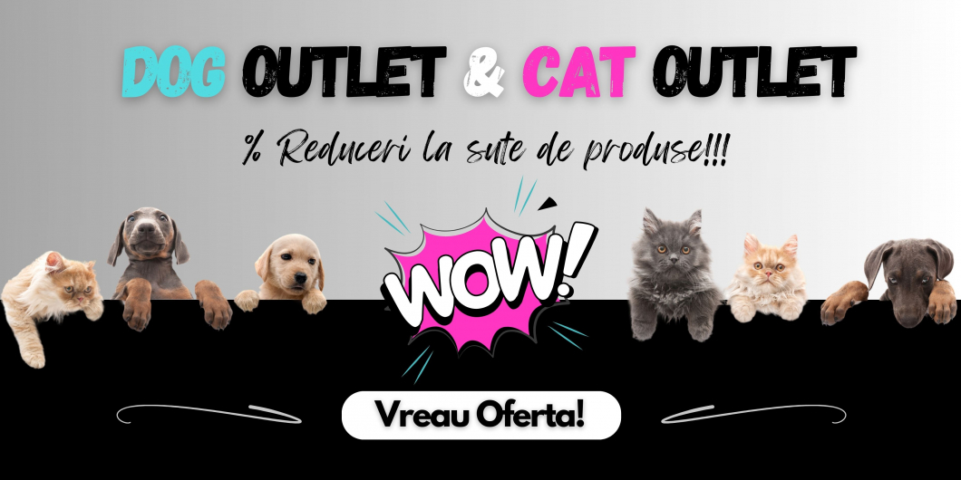 Outlet
