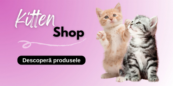 Kitten Shop