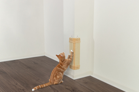Jucării - Placa de Zgariat cu Sisal, pentru Colt, Bej, 23 x 49 cm