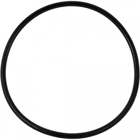 Accesorii - Garnitură inelară (O-ring) carcasă Big Blue