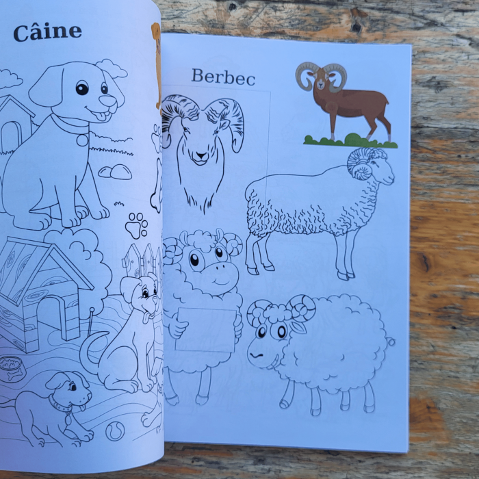 Carte copii 3-7 ani cu animale domestice si salbatice de colorat [2]