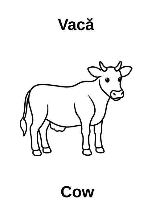 Carte de colorat animale copii 3–7 ani – RO & EN [5]
