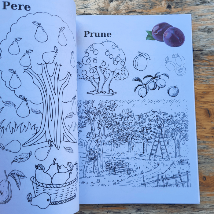 Carte copii 3-7 ani cu fructe si legume de colorat [2]