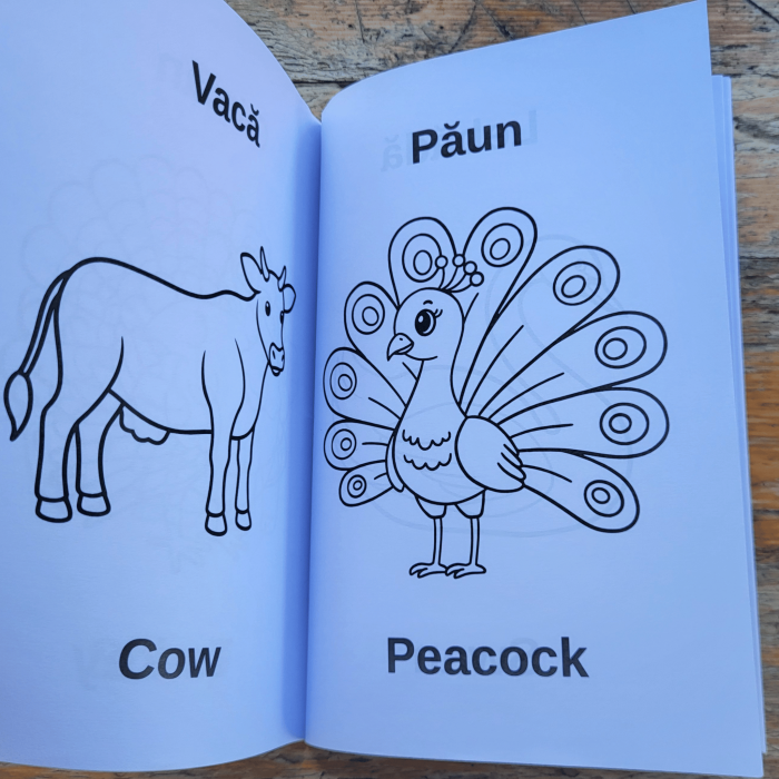 Carte de colorat animale copii 3–7 ani – RO & EN [2]