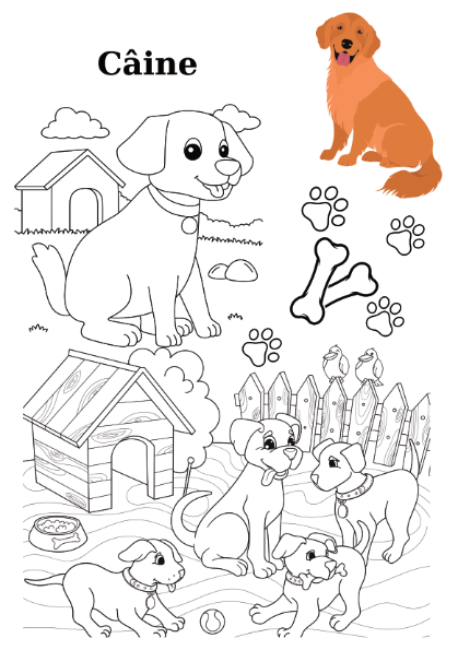 Carte copii 3-7 ani cu animale domestice si salbatice de colorat [5]