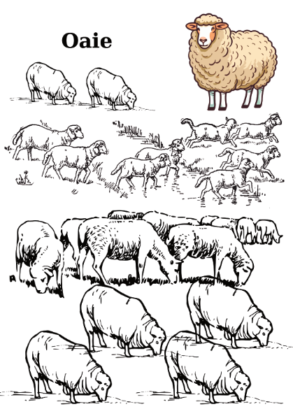 Carte copii 3-7 ani cu animale domestice si salbatice de colorat [6]