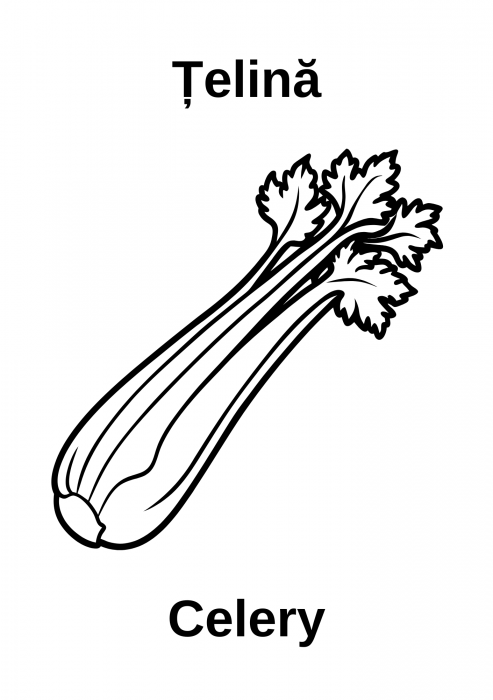 Carte de colorat fructe si legume copii 3–7 ani – RO & EN [5]