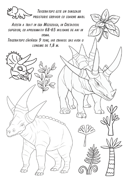 Carte copii 3-7 ani cu activitati si colorat Lumea Dinozaurilor [7]