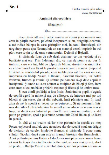 Caiet romana clasa 4 pentru copii cu rebusuri literare si jocuri educative [2]
