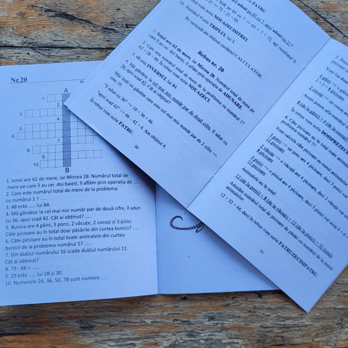 Pachet matematica clasa 1 cu 8 caiete exercitii probleme si rezolvari [11]