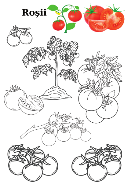 Carte copii 3-7 ani cu fructe si legume de colorat [7]