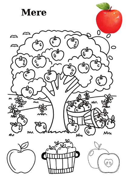 Carte copii 3-7 ani cu fructe si legume de colorat [4]