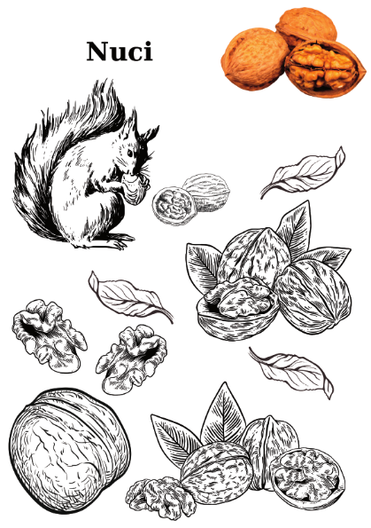 Carte copii 3-7 ani cu fructe si legume de colorat [5]