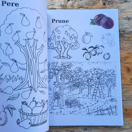 Carte copii 3-7 ani cu fructe si legume de colorat [1]