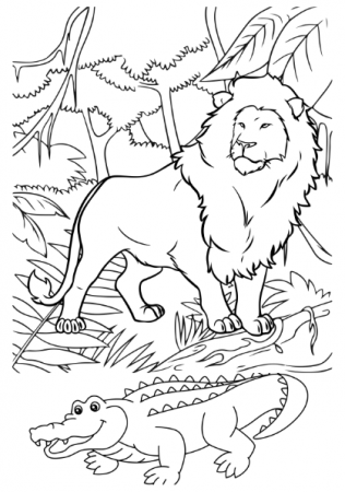 Carte copii 3-7 ani cu animale domestice si salbatice de colorat [9]
