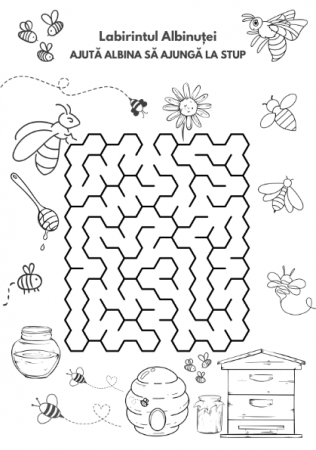 Carte copii 3-7 ani cu activitati si colorat Aventurile Anotimpurilor [4]