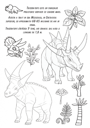 Carte copii 3-7 ani cu activitati si colorat Lumea Dinozaurilor [6]