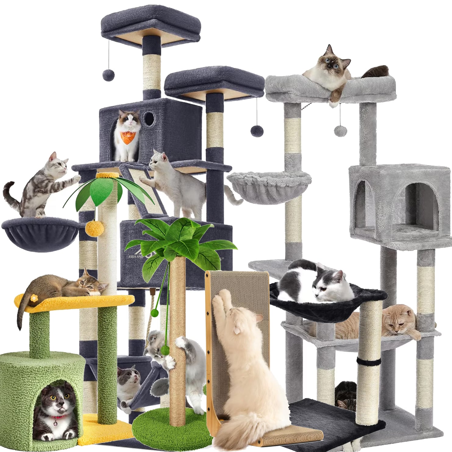 Ansambluri de joaca pentru pisici