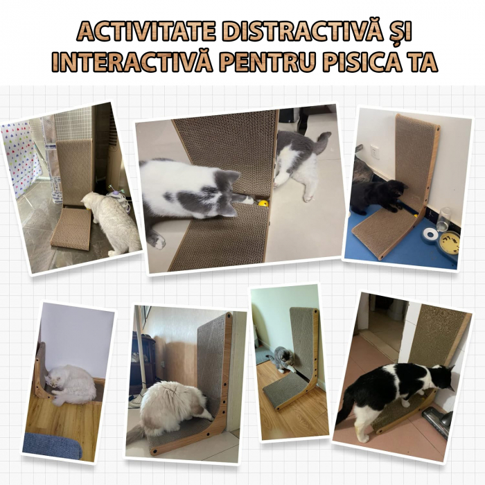 Ansamblu de joaca pentru pisici orizontal si vertical tip carton [3]