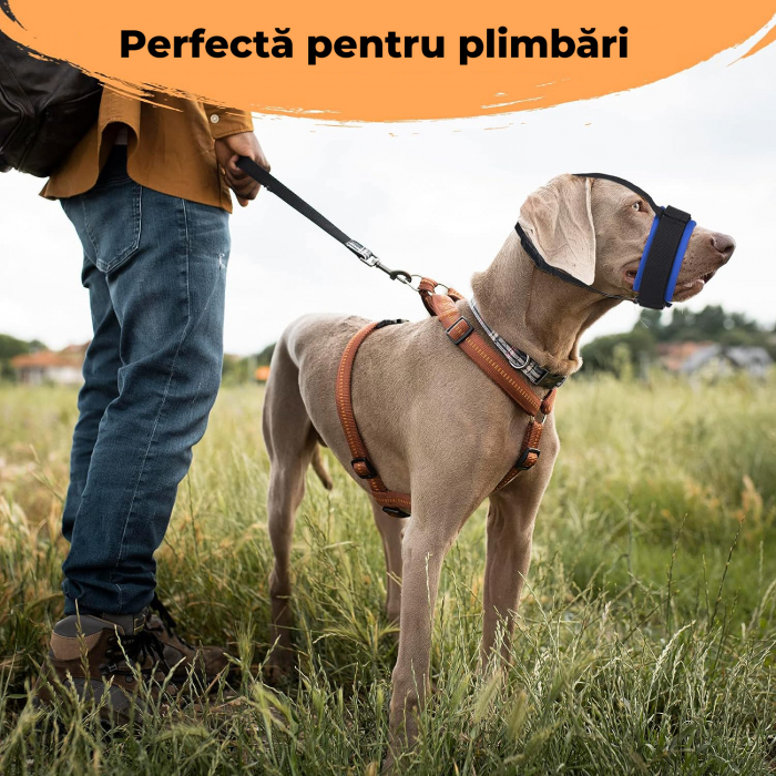 Botnita ajustabila pentru caini, Marimea L, Negru si Albastru [3]