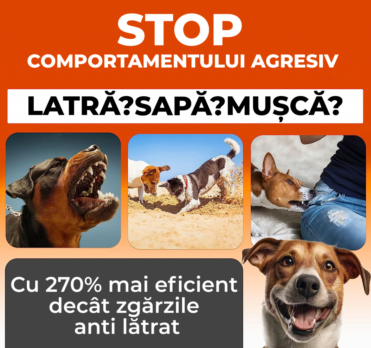 Dispozitiv anti-latrat pentru caini [3]