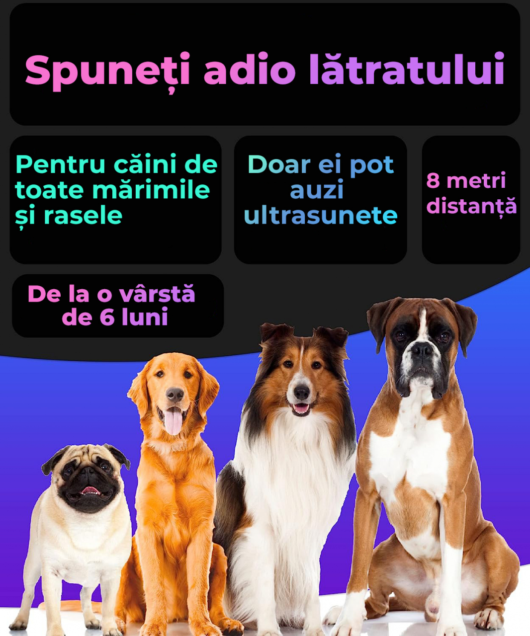 Dispozitiv anti-latrat pentru caini [2]