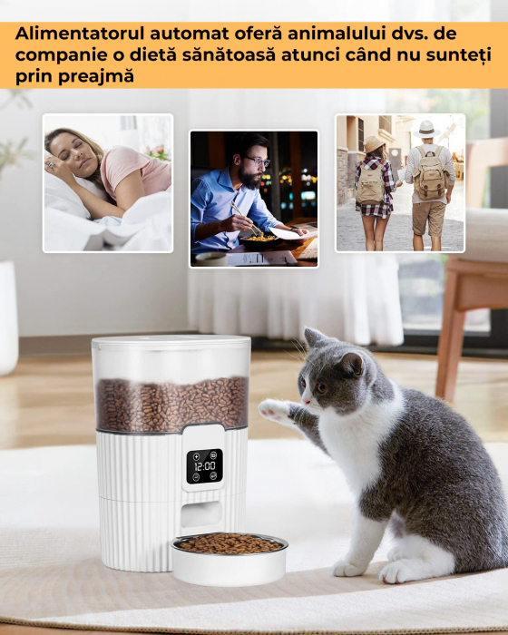 Hranitor automat pentru caini si pisici [4]