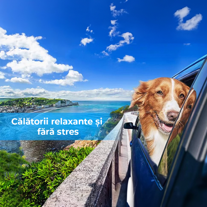 Husa auto de protectie [5]
