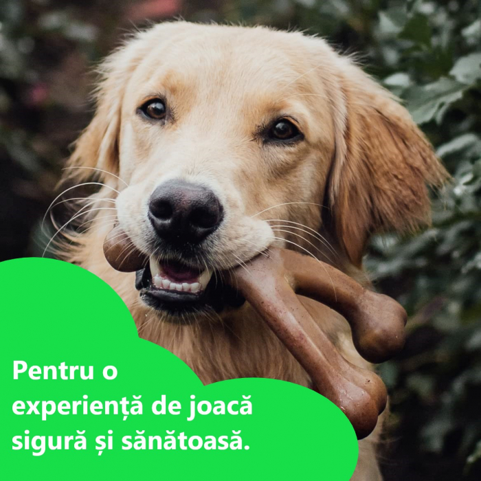 Jucarie de mestecat pentru caini, forma de os, aroma de bacon [7]