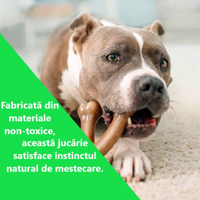 Jucarie de mestecat pentru caini, forma de os, aroma de bacon [8]