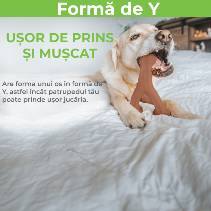 Jucarie de mestecat pentru caini, forma de os, aroma de bacon [5]